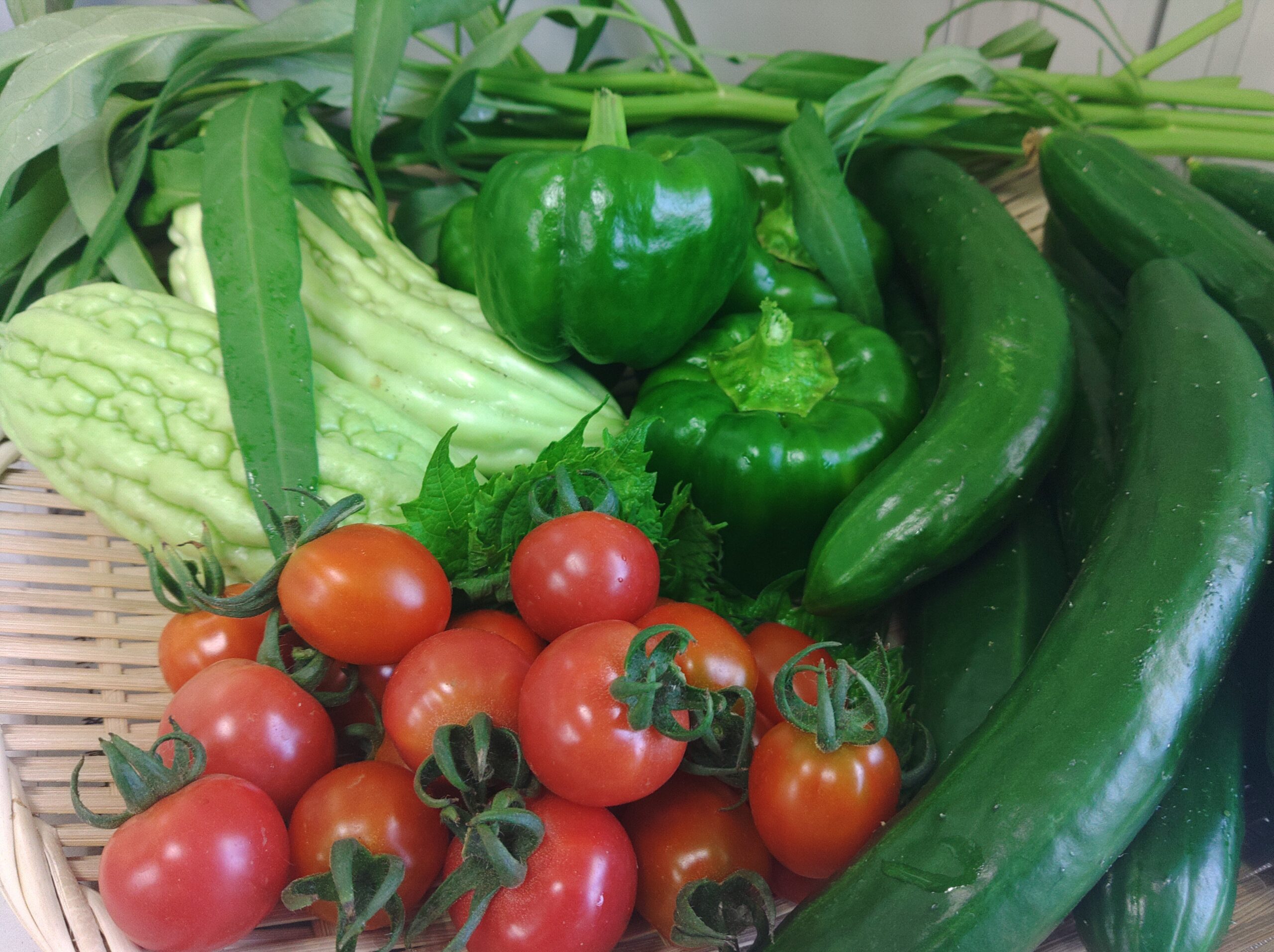 会社で育てる採れたて野菜♪